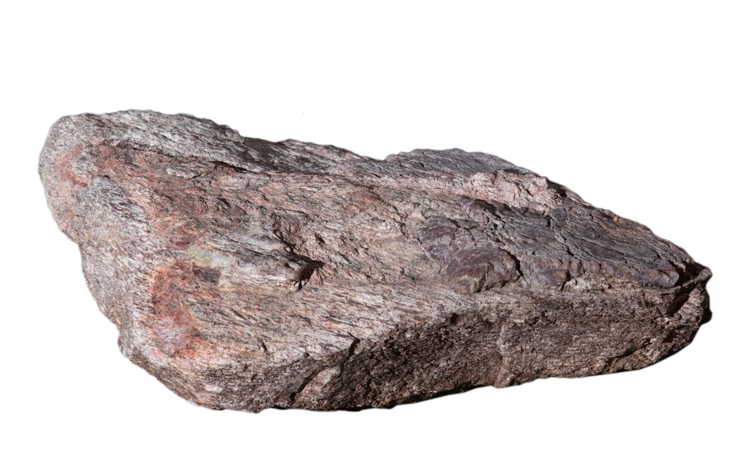 Sample of Lewisian Gneiss