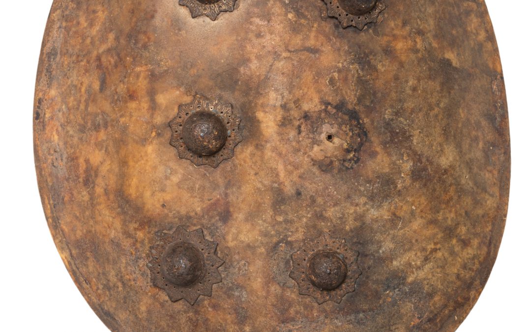 Rhino Hide Shield from Somalia