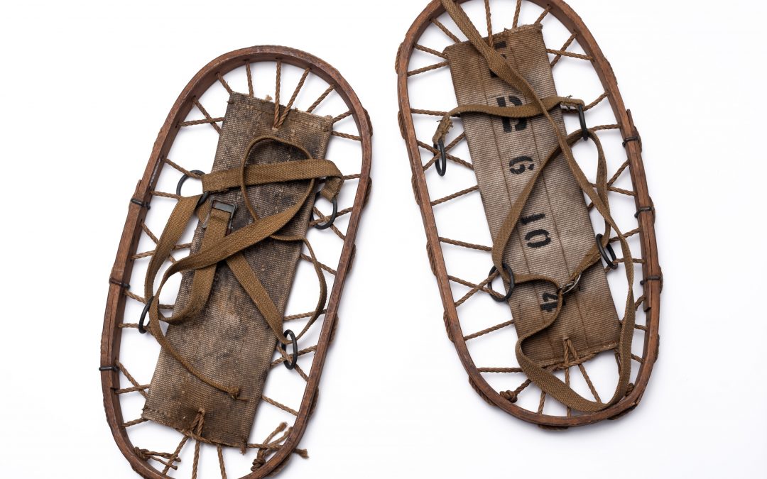 Snowshoes
