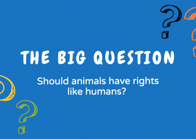 Should animals have rights like humans?