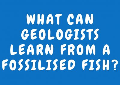 What can geologists learn from a fossilised fish?
